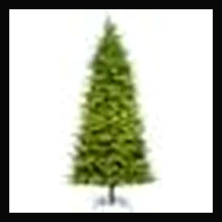 LED 10' Fraiser Fir Tree, Warm White
