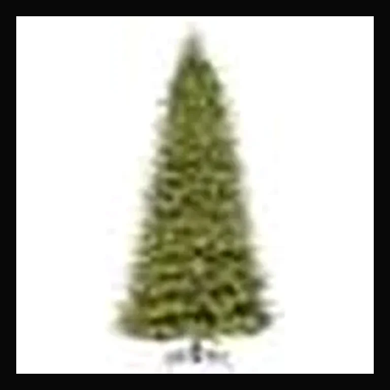 LED 14' Frasier Fir Tree, 2400 Warm White 5MM