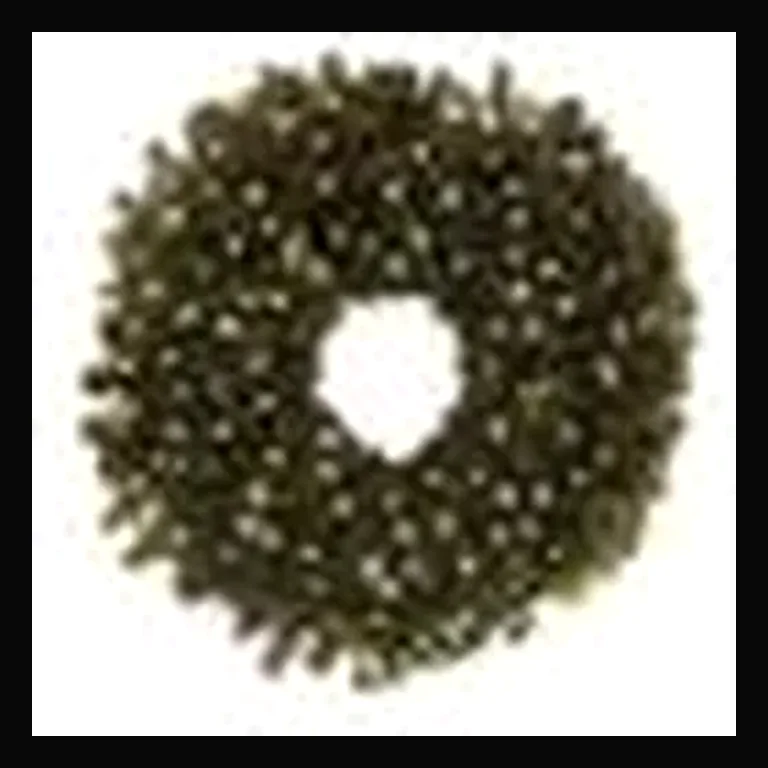 36" Sierra Wreath w/ Concave LED Lights — Warm