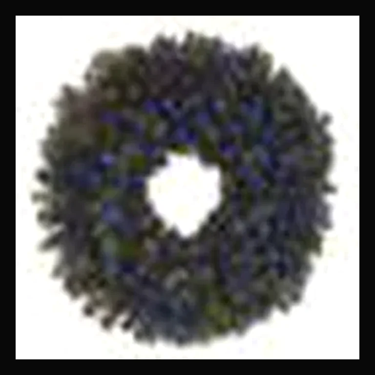 48" Sierra Wreath with Concave LED Lights — Blue