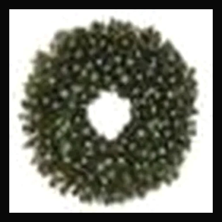 48" Sierra Wreath with Concave LED Lights — Ice