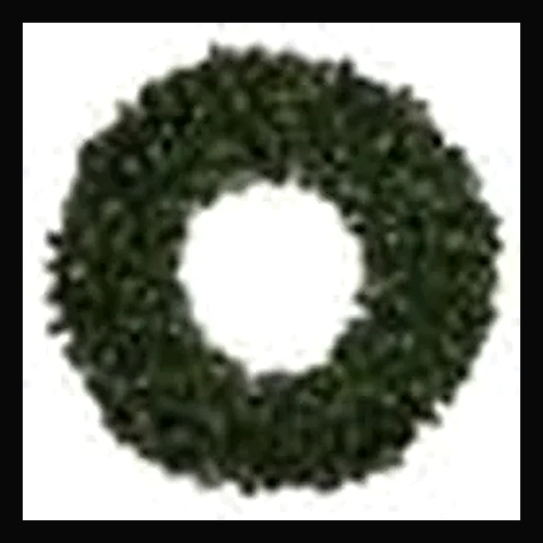 48" Sierra Wreath with Concave LED Lights — White