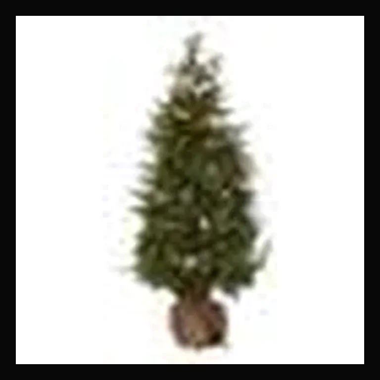LED 4' Holly Berry Table Top Tree with 3mm WW