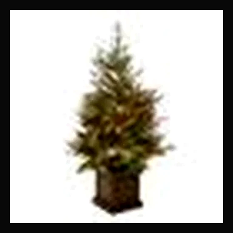4' Mixed Pine Berries Potted Tree