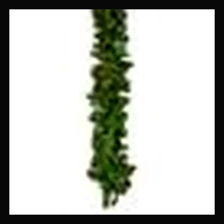 9' Sierra Garland with Concave LED Lights — Multi-