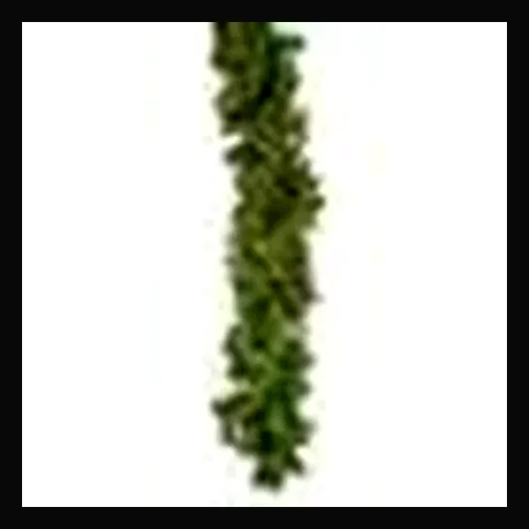 9' Sierra Garland with Concave LED Lights — Red/