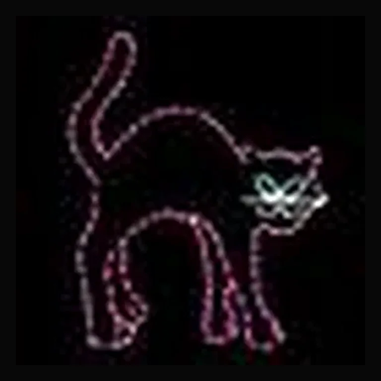 Black Cat Halloween LED Display