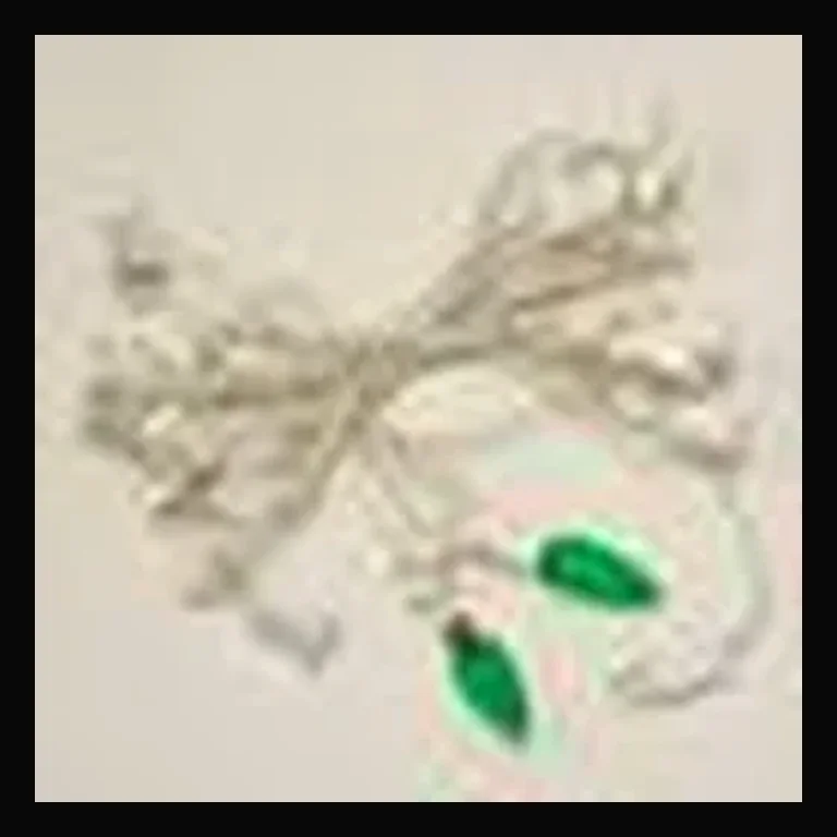 C9 25' Cord with Ends in White