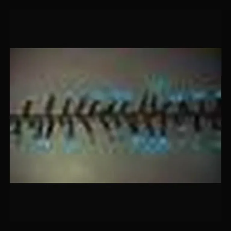 25' Long 760 count 3mm Cluster String Lights with