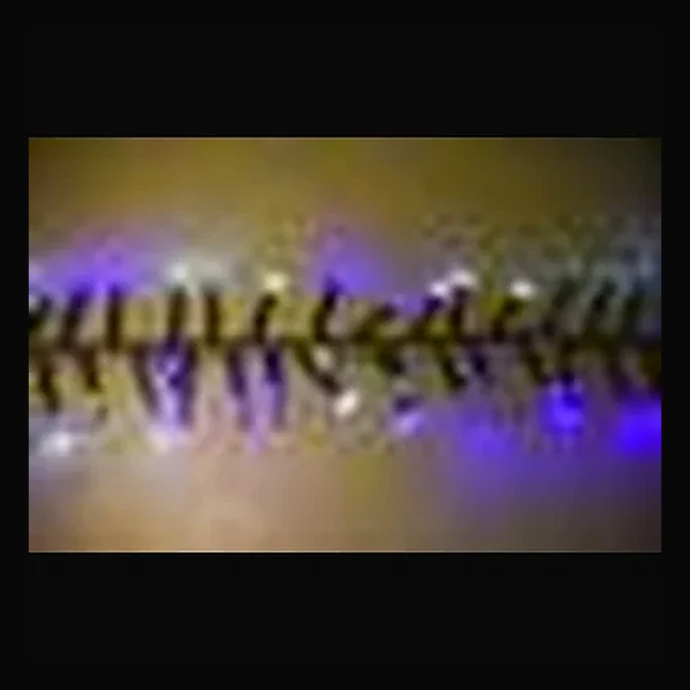 25' Long 760 count 3mm Cluster String Lights with