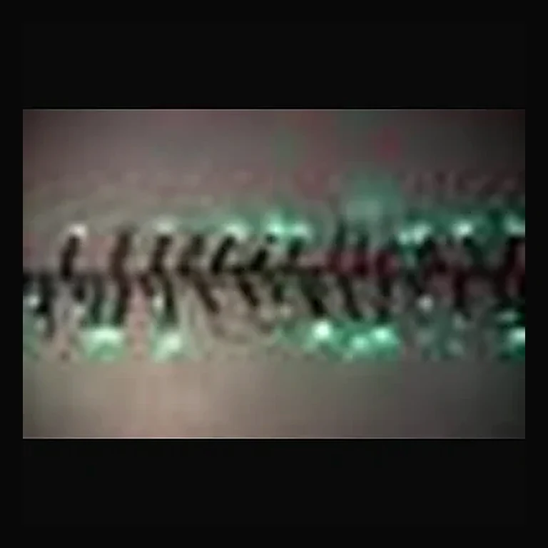 25' Long 760 count 3mm Cluster String Lights with