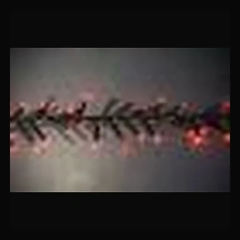 25' Long 760 count 3mm Cluster String Lights with