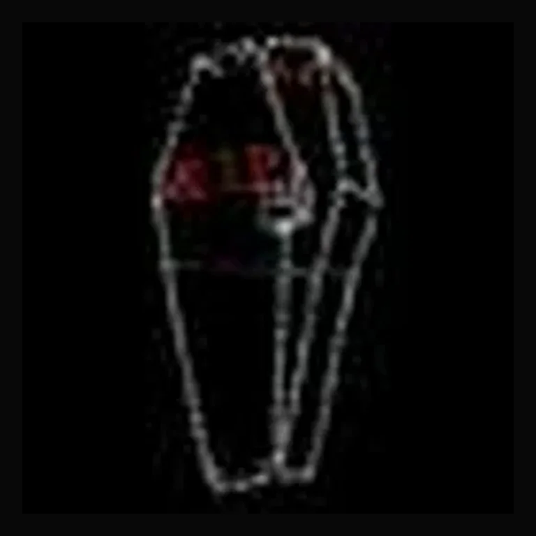 Vampire Coffin Halloween LED Display