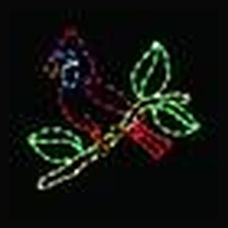 Cardinal on Branch LED Display (36")