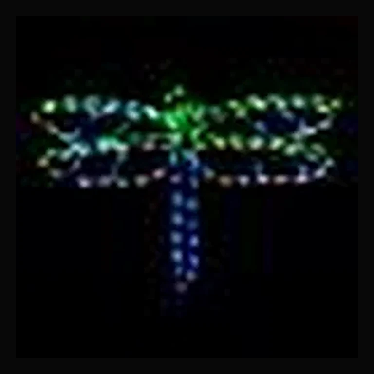 Dragonfly LED Display