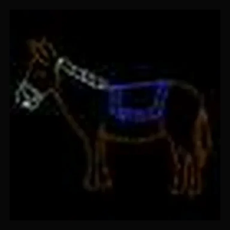 Nativity Donkey LED Display