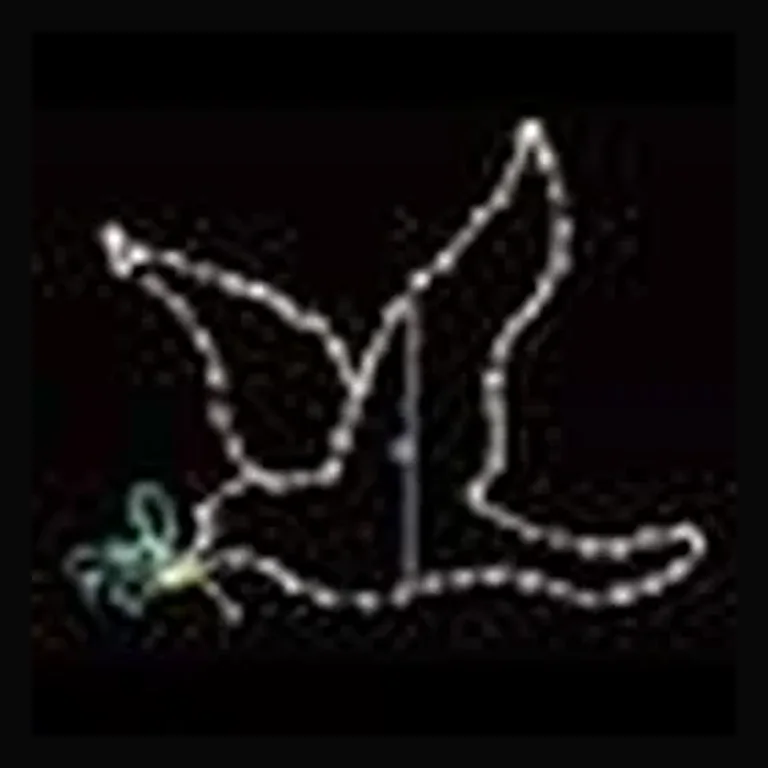Dove Bird LED Display - Warm White (37")