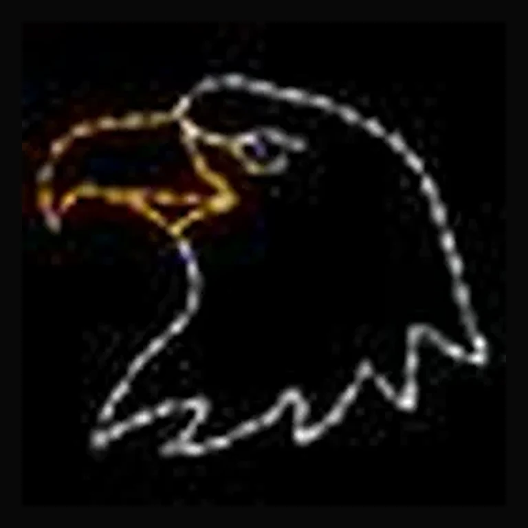Bald Eagle Head LED Display