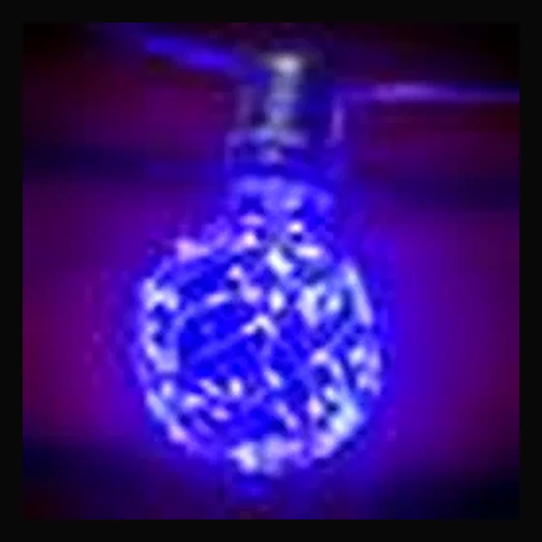 G80 Glass Bulb with Fairy Lights (Blue) E26 Base