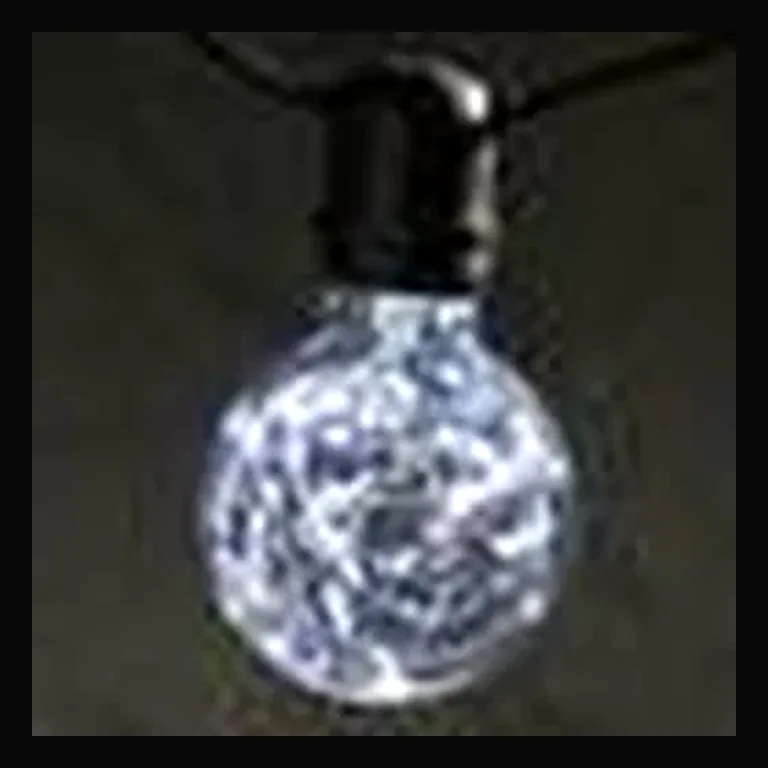 G80 Glass Bulb with Fairy Lights (White) E26 Base
