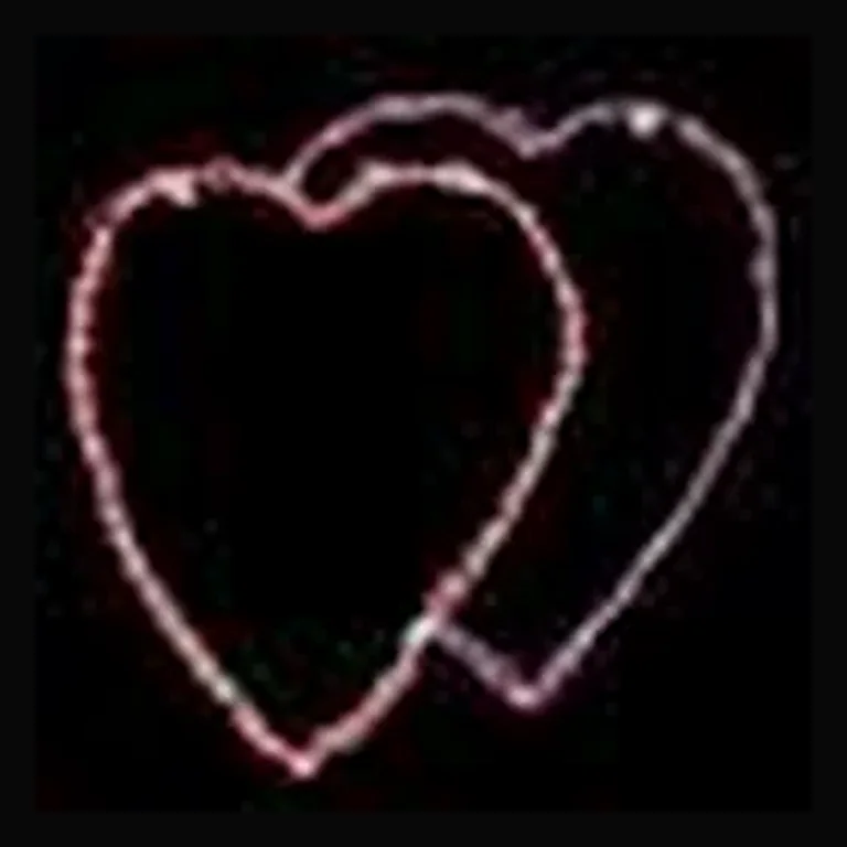 Double Heart LED Display - Red & Pink (29")
