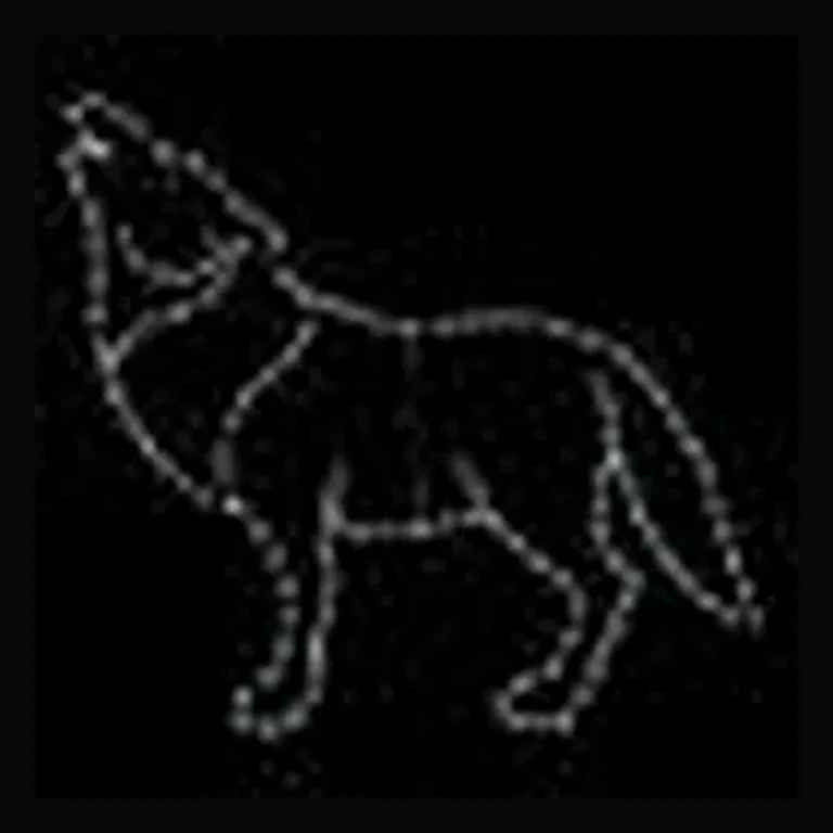 Howling Wolf LED Display (48")