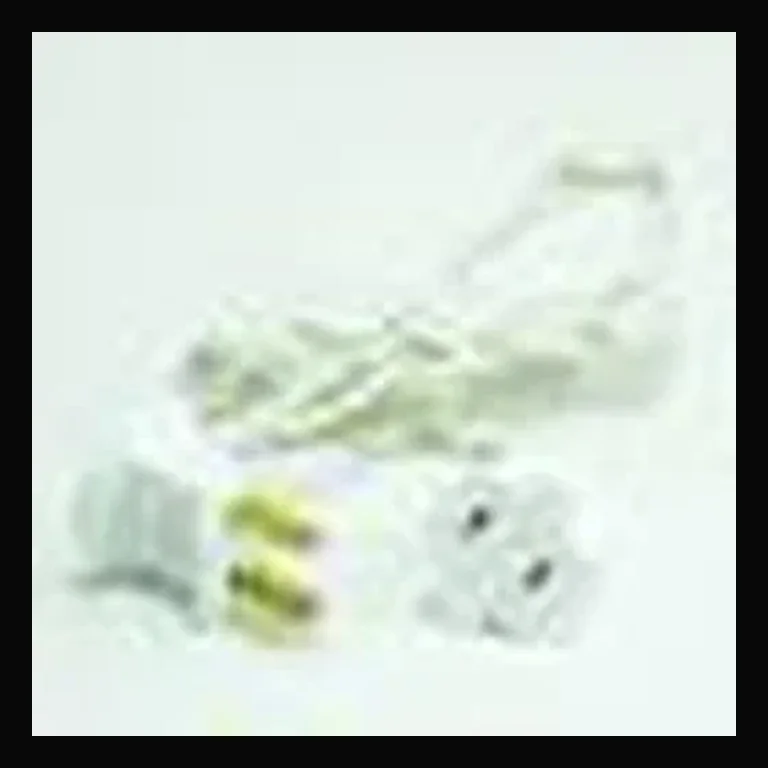 Jumper cord - 3' (White)