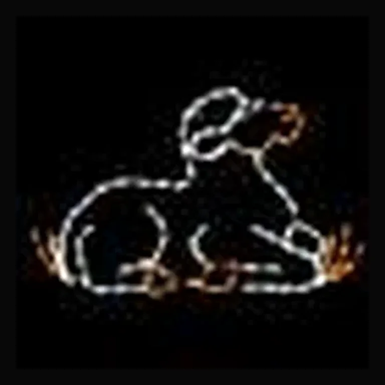 Lamb LED Nativity Display/Sign