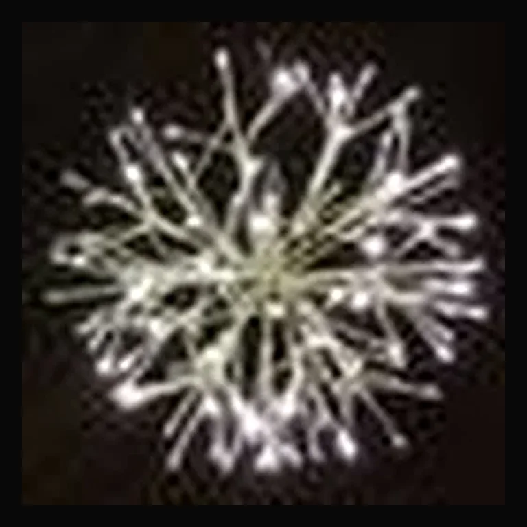 LED 24" Light Burst Ball - Twinkle Lights — White