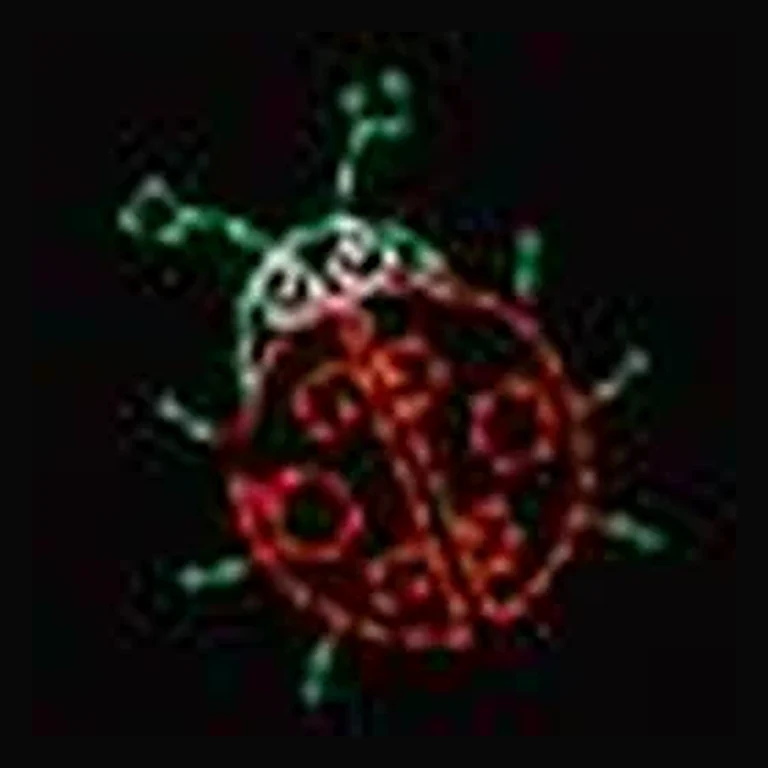 Lady Bug LED Display