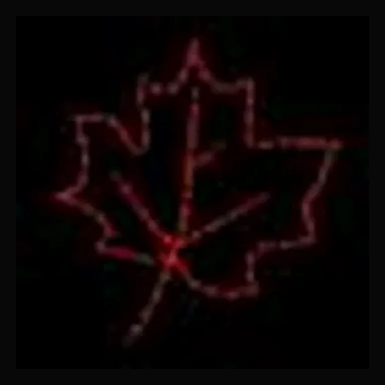 Maple Leaf LED Display