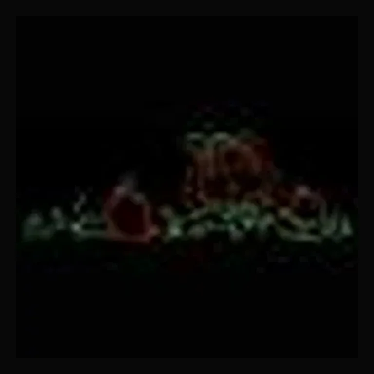 Pumpkin Patch LED Display (65")