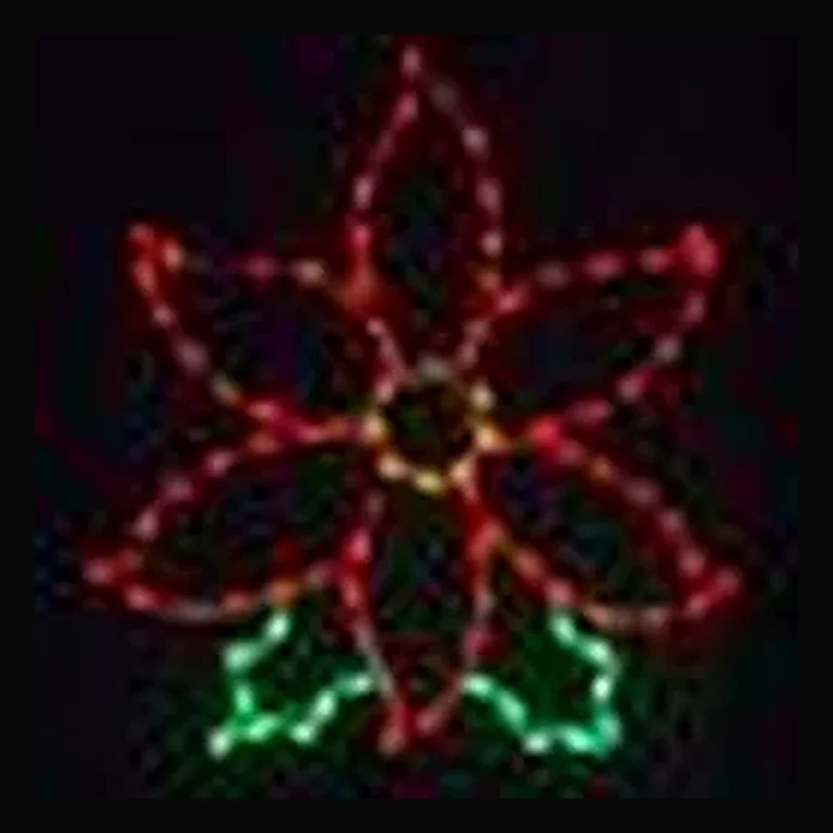 Poinsettia LED Display (30")
