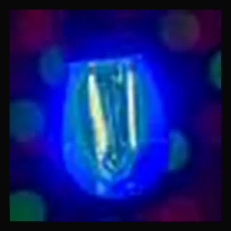 LED S14 Smooth PC Bulb — Blue