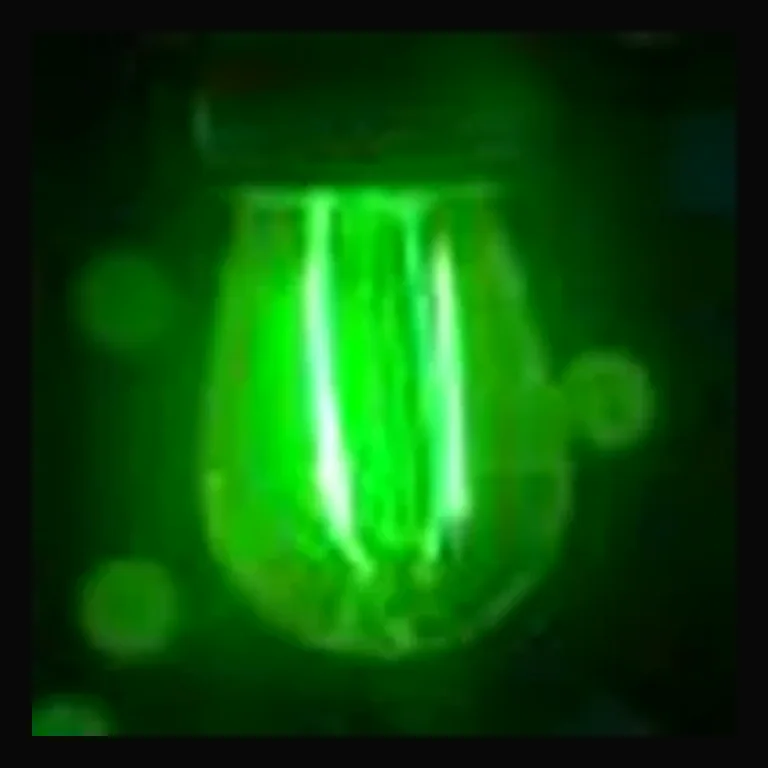 LED S14 Smooth PC Bulb — Green