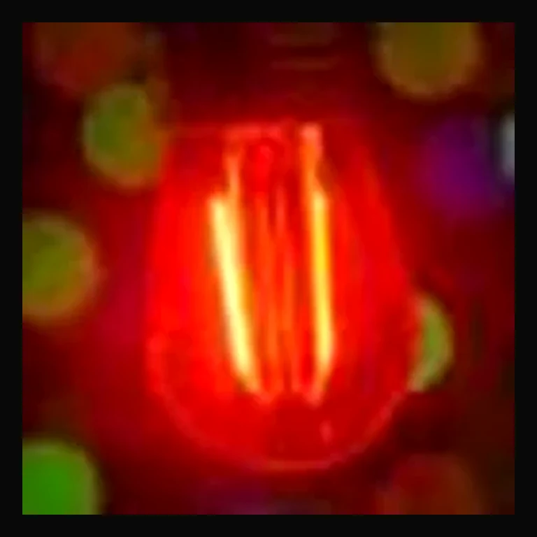 LED S14 Smooth PC Bulb — Red