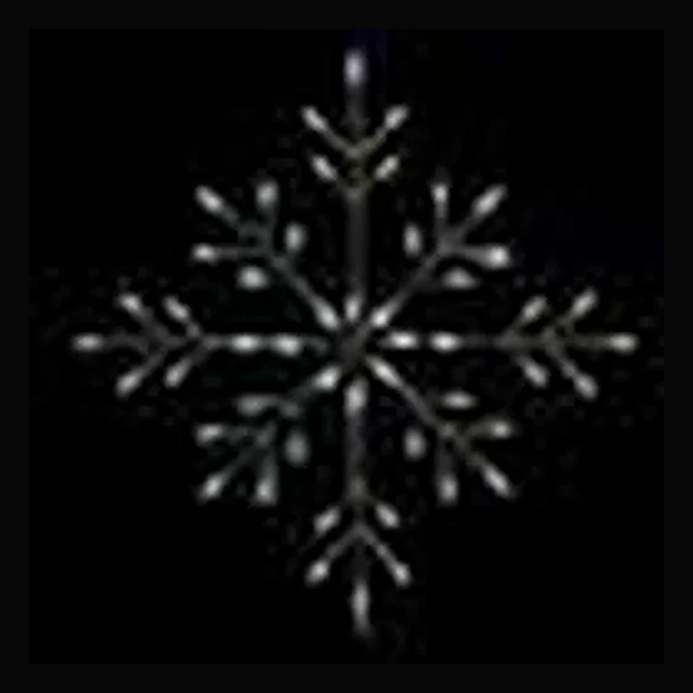 Classic Branch Snowflake LED Display - White (30")