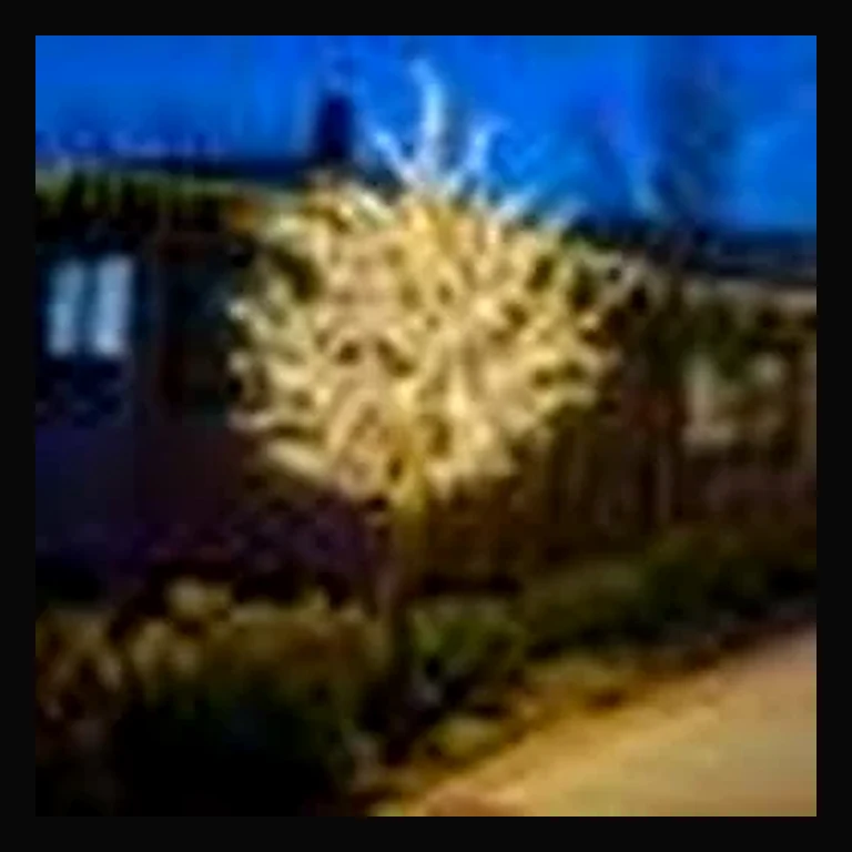 LED 12 Linden Tree, Brown Trunk, Warm White