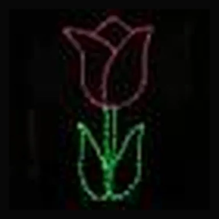 LED Tulip Pink