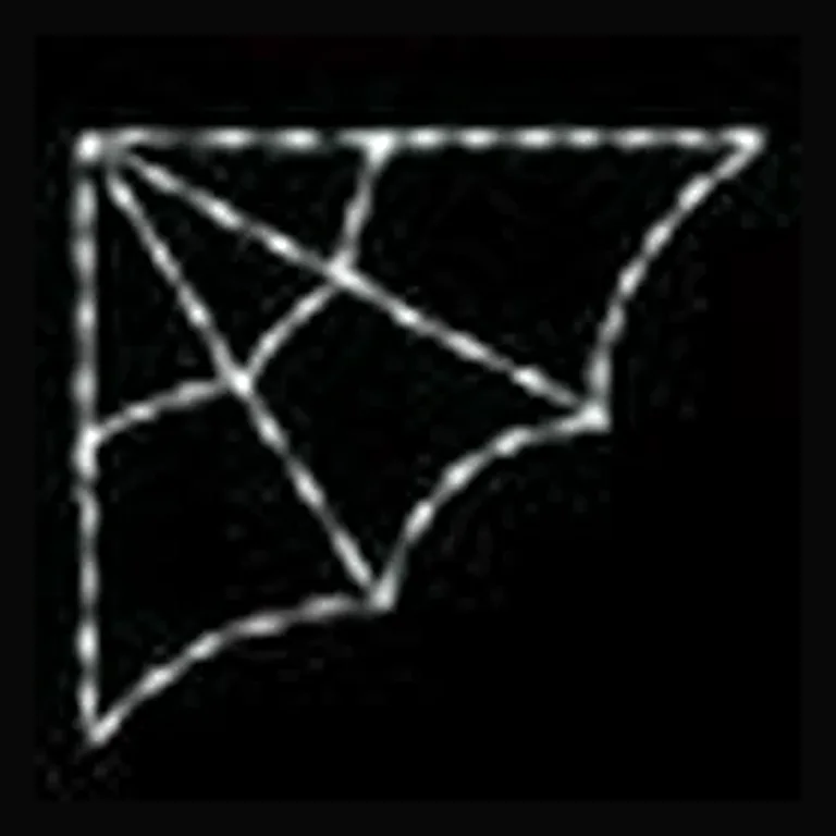 Corner Spider Web LED Display