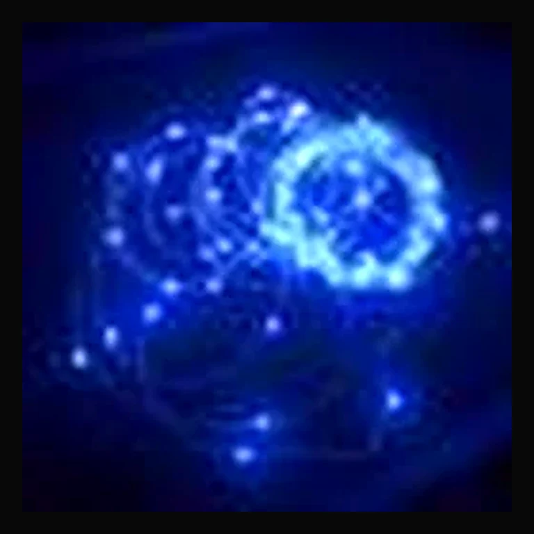 Wire Lights - 100 Bulbs — Blue