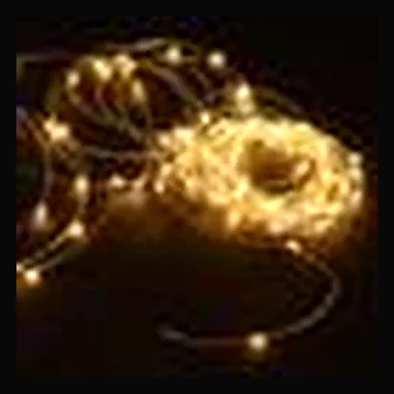 Wire Lights - 100 Bulbs — Warm White