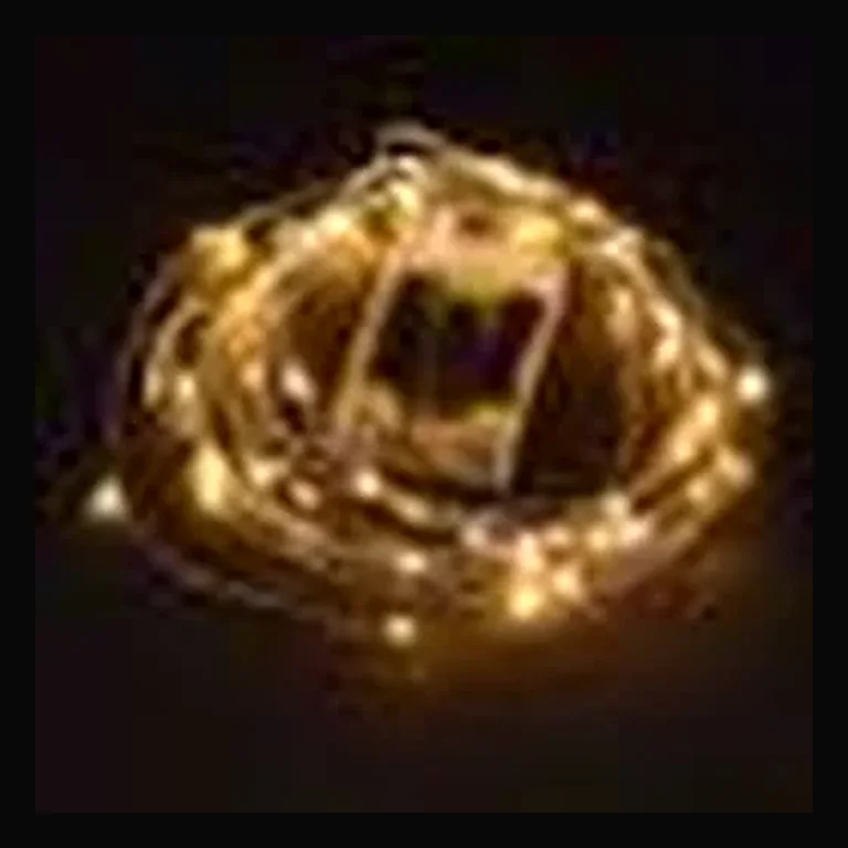 Wire Lights - 50 Bulbs Battery Operated - 16' length