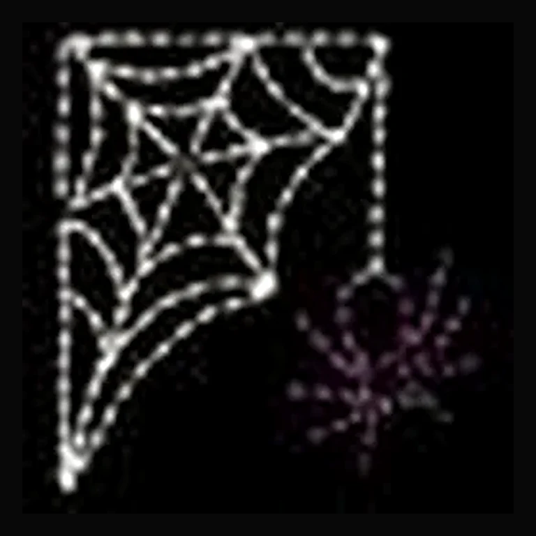 Spider with Web Halloween LED Display (43")